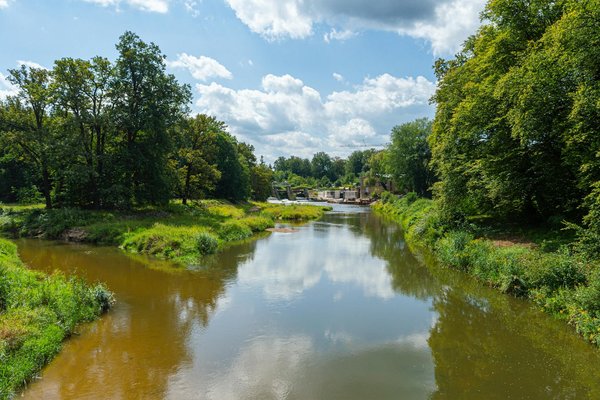 Perte de poids : privilégier la qualité à la quantité